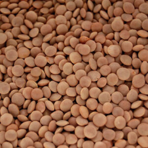 red lentils (with husk)